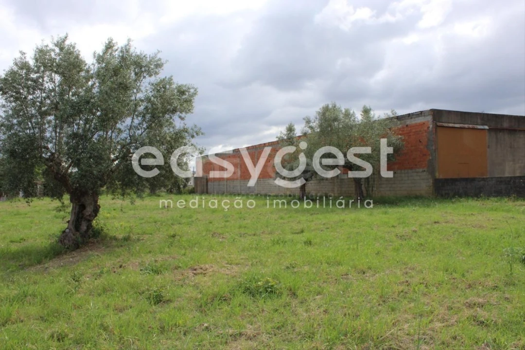 Terreno para Venda em São João Baptista e Santa Maria dos Olivais Foto 6