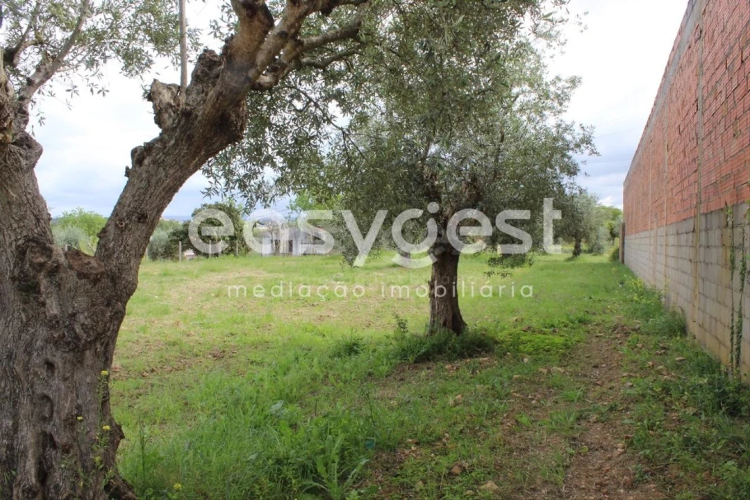 Terreno para Venda em São João Baptista e Santa Maria dos Olivais Foto 7