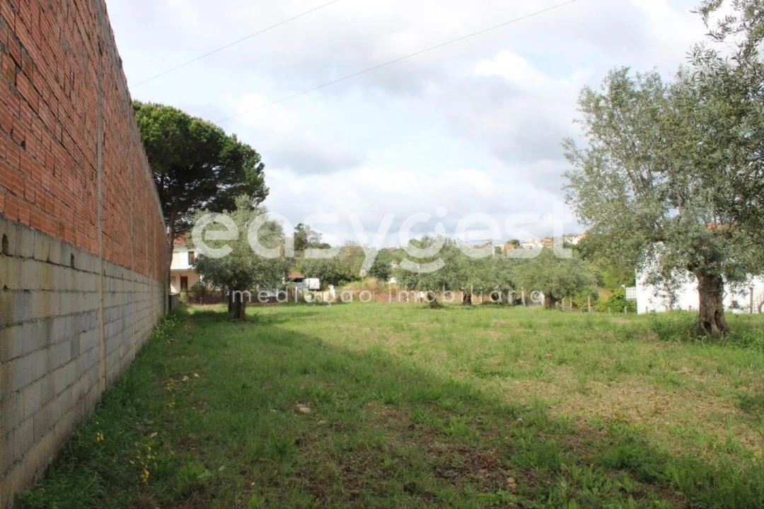 Terreno para Venda em São João Baptista e Santa Maria dos Olivais Foto 11