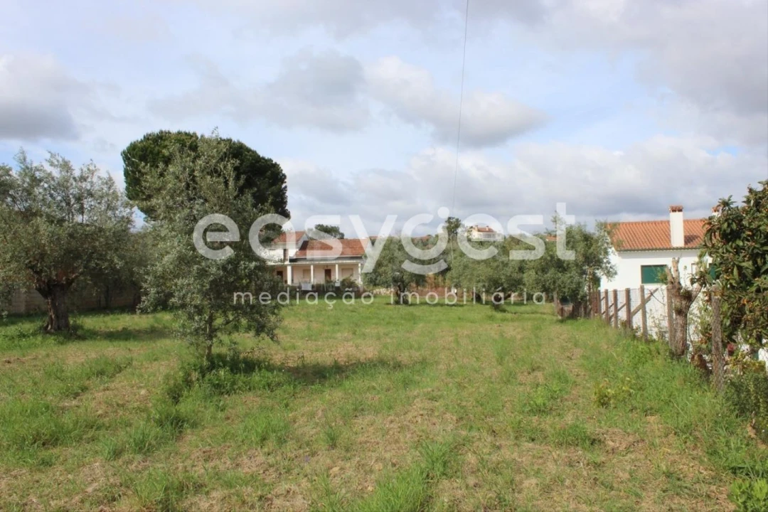 Terreno para Venda em São João Baptista e Santa Maria dos Olivais Foto 17