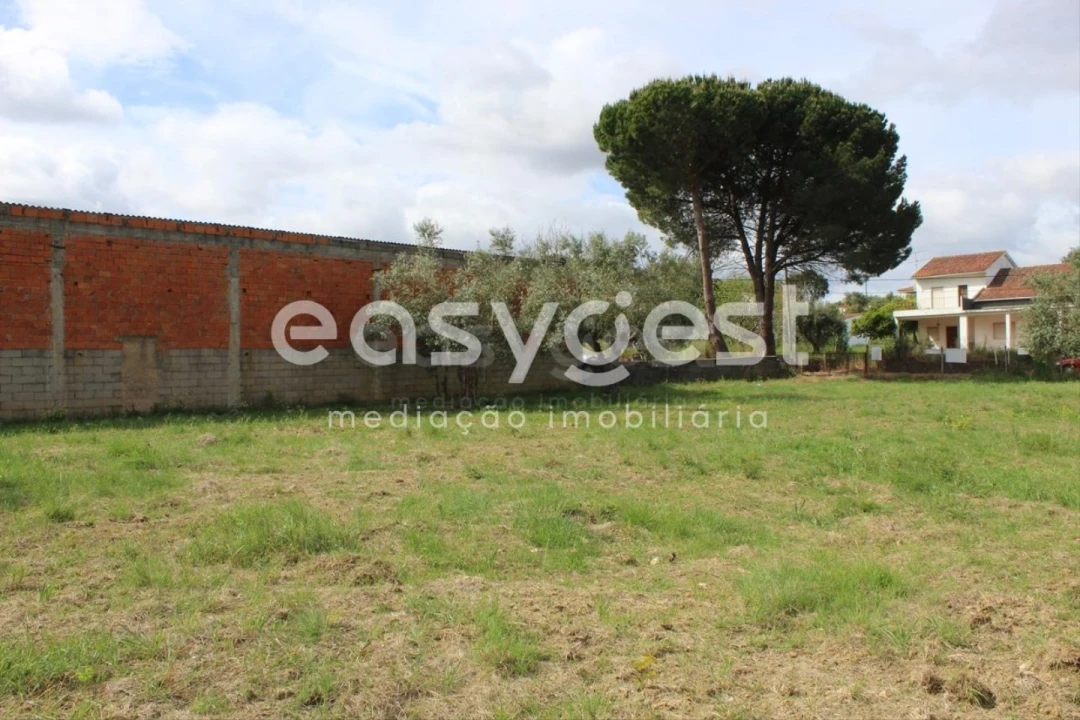 Terreno para Venda em São João Baptista e Santa Maria dos Olivais Foto 18