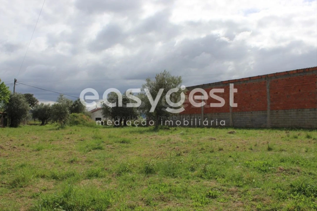 Terreno para Venda em São João Baptista e Santa Maria dos Olivais Foto 19