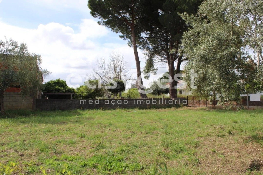 Terreno para Venda em São João Baptista e Santa Maria dos Olivais Foto 20