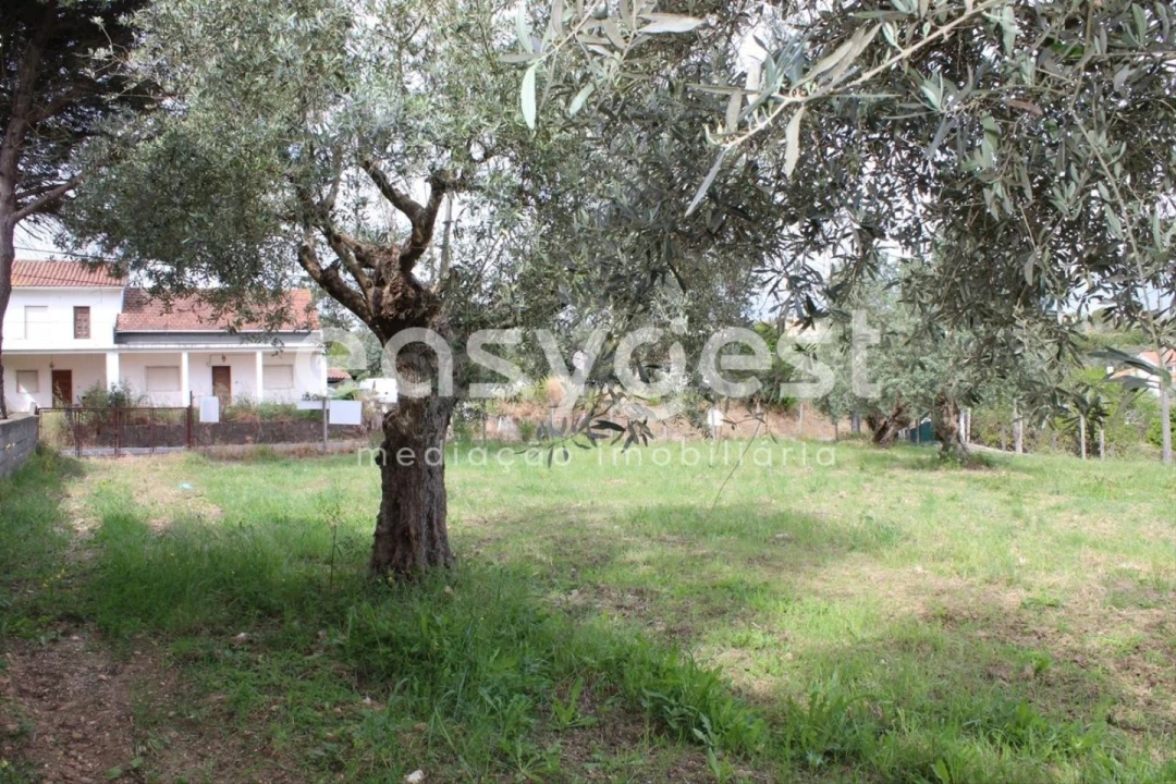 Terreno para Venda em São João Baptista e Santa Maria dos Olivais Foto 23