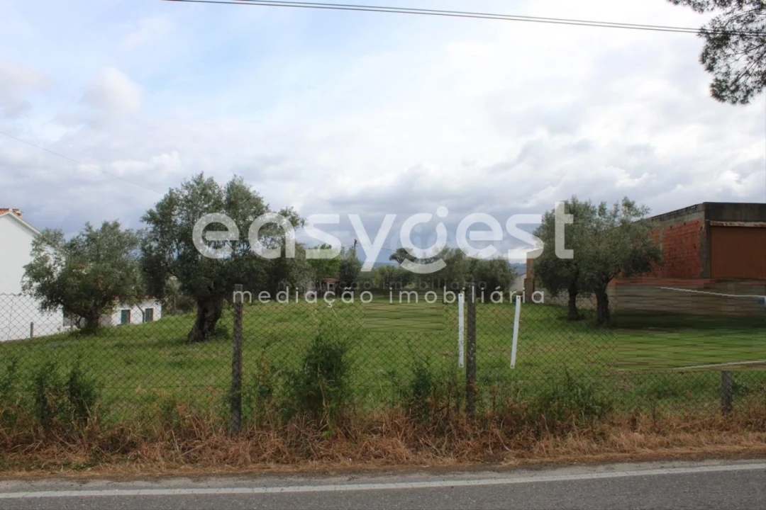 Terreno para Venda em São João Baptista e Santa Maria dos Olivais Foto 24