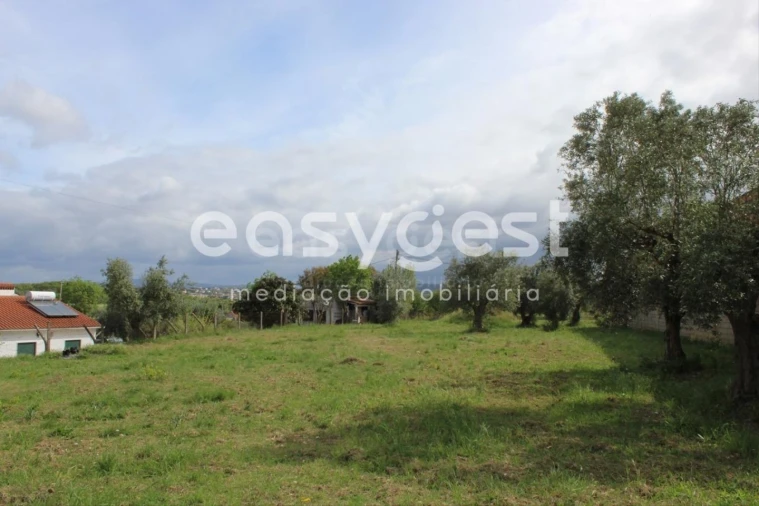 Terreno para Venda em São João Baptista e Santa Maria dos Olivais