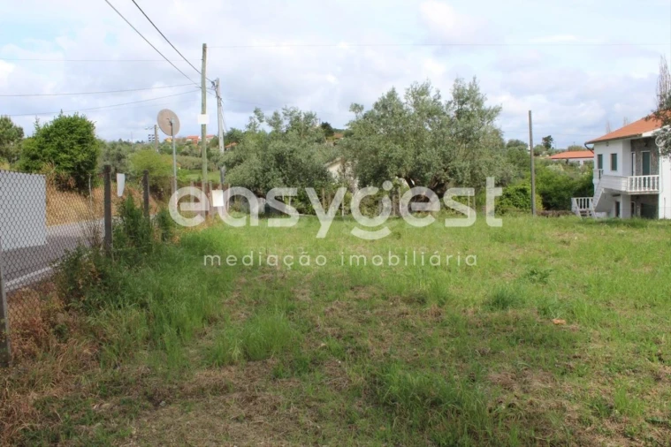 Terreno para Venda em São João Baptista e Santa Maria dos Olivais Foto 4