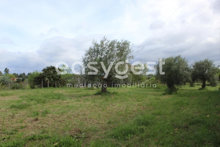 Terreno para Venda em São João Baptista e Santa Maria dos Olivais Foto 8