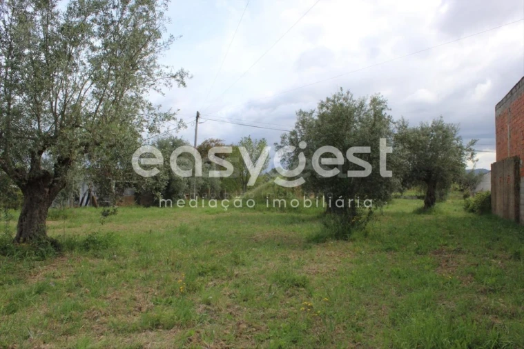 Terreno para Venda em São João Baptista e Santa Maria dos Olivais Foto 9