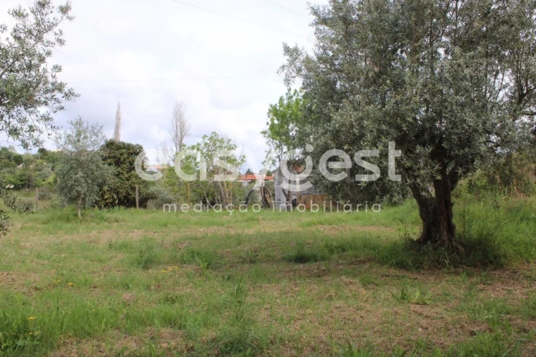 Terreno para Venda em São João Baptista e Santa Maria dos Olivais Foto 10