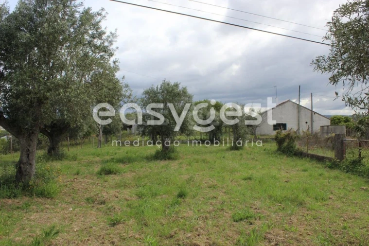 Terreno para Venda em São João Baptista e Santa Maria dos Olivais Foto 12