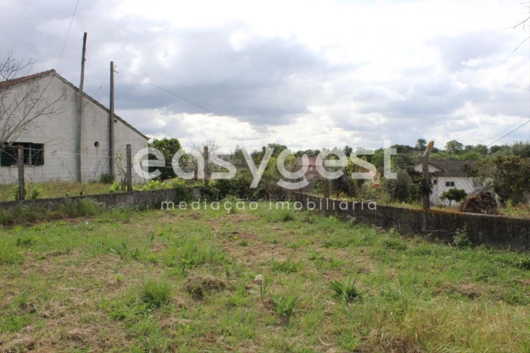 Terreno para Venda em São João Baptista e Santa Maria dos Olivais Foto 13