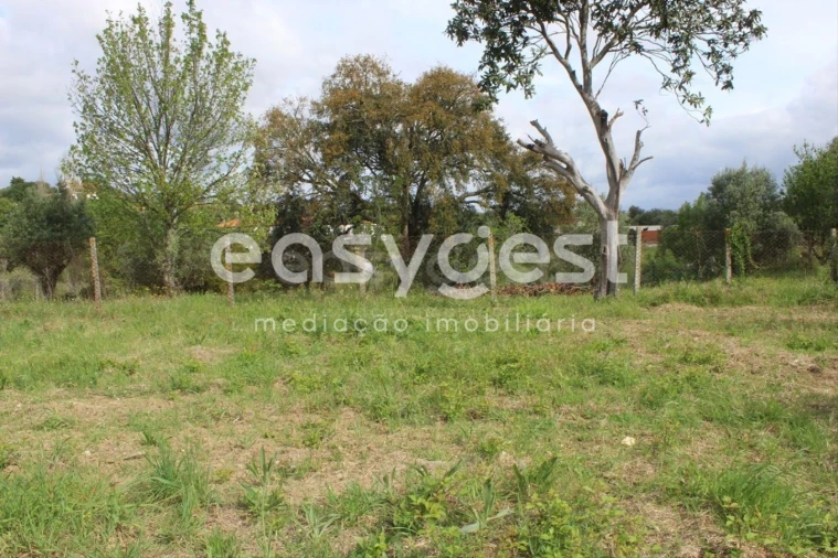 Terreno para Venda em São João Baptista e Santa Maria dos Olivais Foto 14