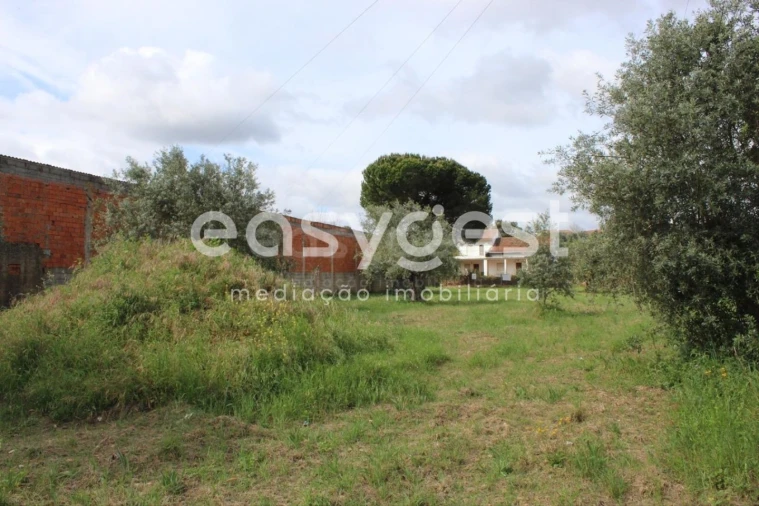 Terreno para Venda em São João Baptista e Santa Maria dos Olivais Foto 16