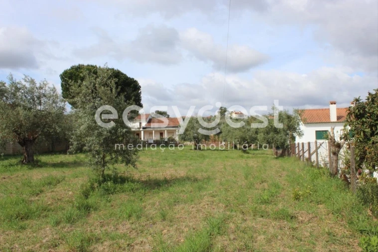 Terreno para Venda em São João Baptista e Santa Maria dos Olivais Foto 17