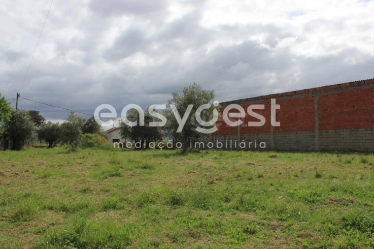 Terreno para Venda em São João Baptista e Santa Maria dos Olivais Foto 19
