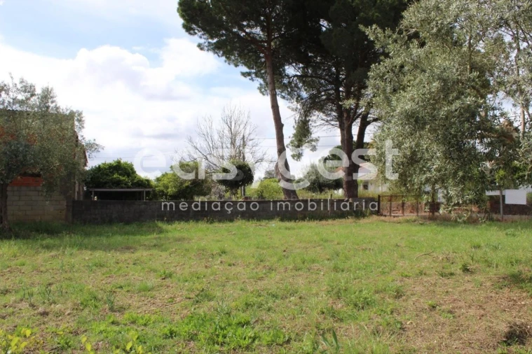 Terreno para Venda em São João Baptista e Santa Maria dos Olivais Foto 20