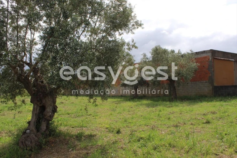 Terreno para Venda em São João Baptista e Santa Maria dos Olivais Foto 21