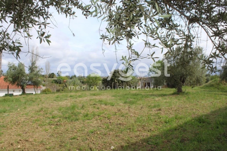 Terreno para Venda em São João Baptista e Santa Maria dos Olivais Foto 22