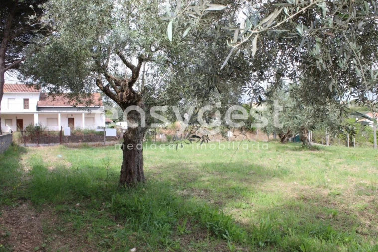 Terreno para Venda em São João Baptista e Santa Maria dos Olivais Foto 23