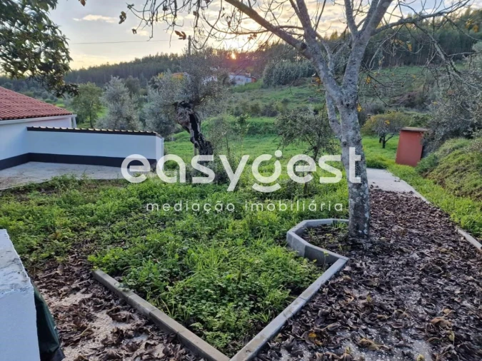 Quinta T3 para Venda em Sardoal Foto 16