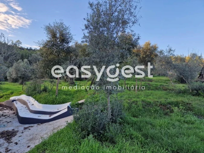 Quinta T3 para Venda em Sardoal Foto 17