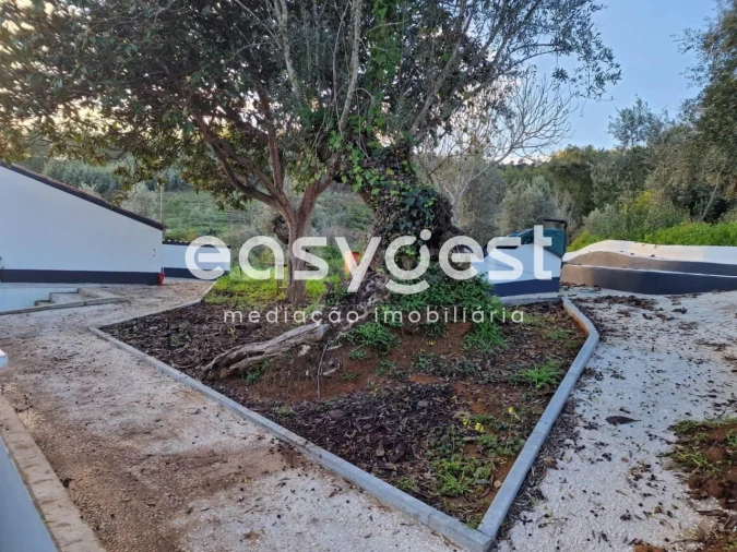 Quinta T3 para Venda em Sardoal Foto 26