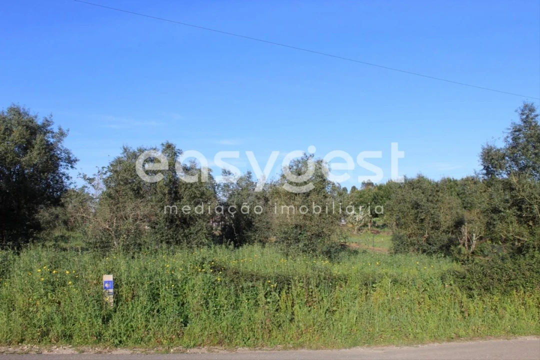 Terreno para Venda em Asseiceira Foto 9