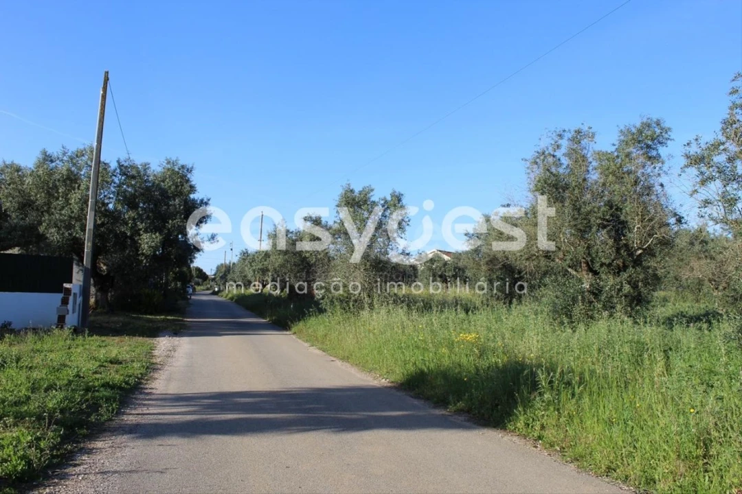 Terreno para Venda em Asseiceira Foto 12