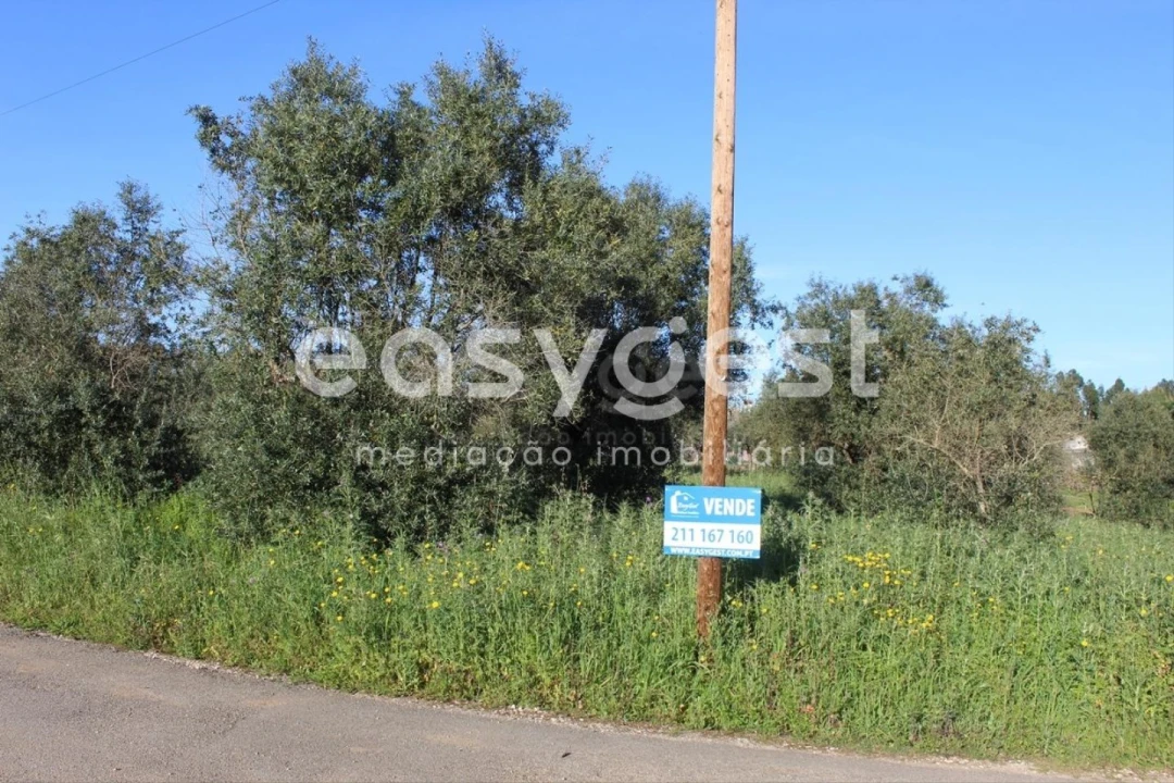 Terreno para Venda em Asseiceira Foto 15