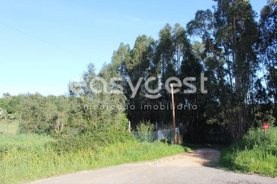 Terreno para Venda em Asseiceira Foto 16