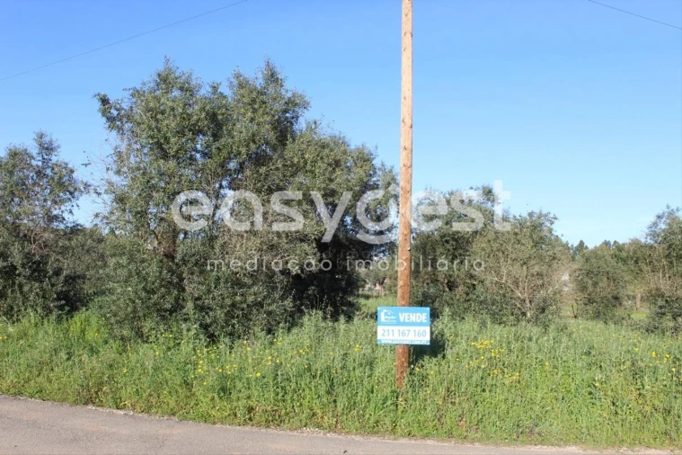 Terreno para Venda em Asseiceira