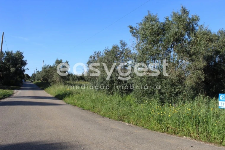 Terreno para Venda em Asseiceira Foto 4