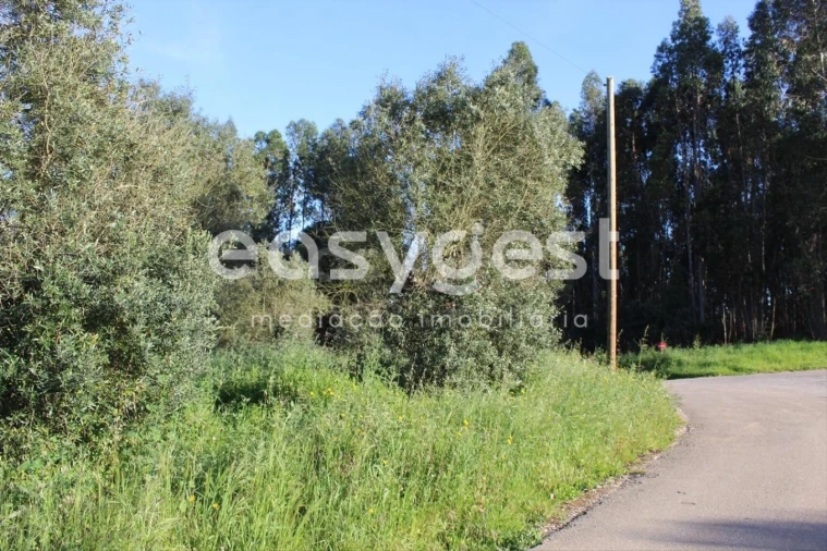 Terreno para Venda em Asseiceira Foto 7
