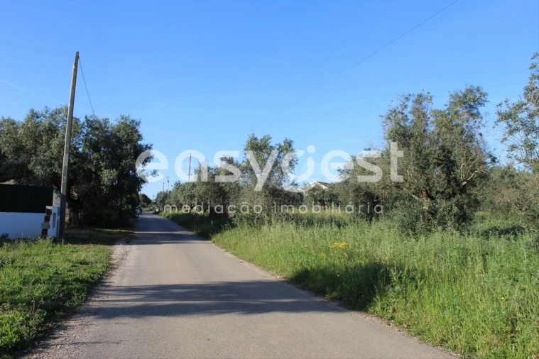 Terreno para Venda em Asseiceira Foto 12