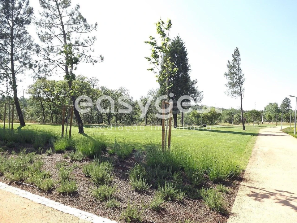 Terreno para Venda em Olaia e Paço Foto 3