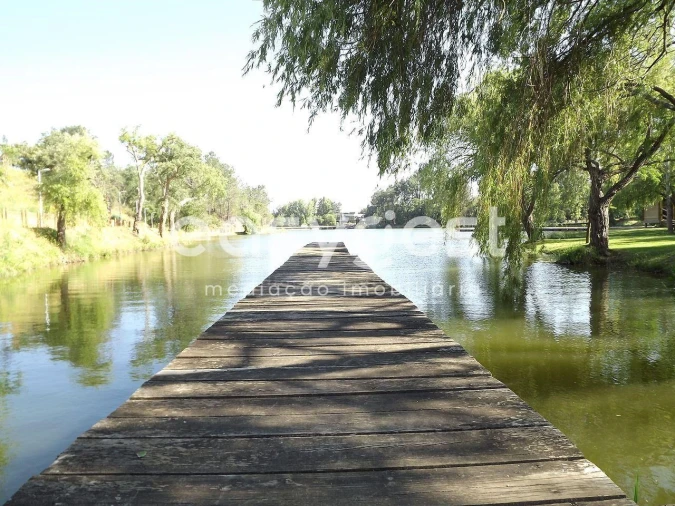 Terreno para Venda em Olaia e Paço Foto 2