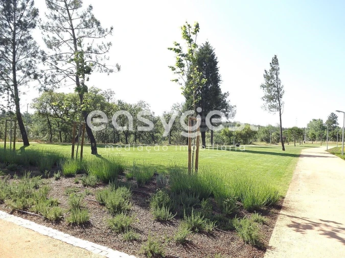 Terreno para Venda em Olaia e Paço Foto 3