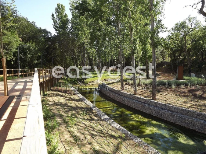 Terreno para Venda em Olaia e Paço Foto 7