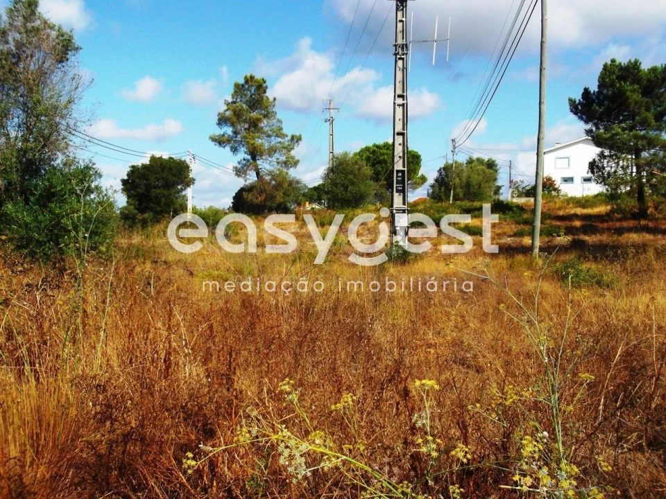 Terreno para Venda em São João Baptista e Santa Maria dos Olivais Foto 1