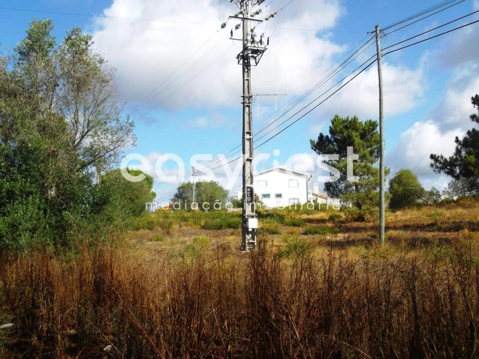 Terreno para Venda em São João Baptista e Santa Maria dos Olivais Foto 2