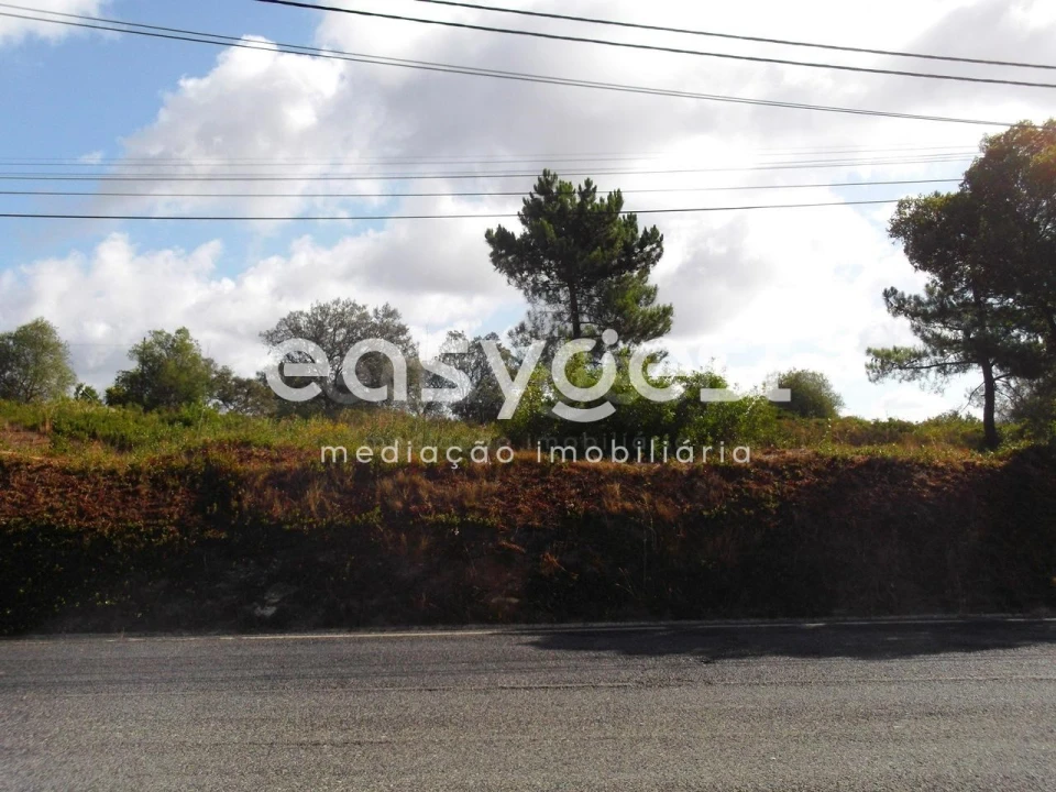 Terreno para Venda em São João Baptista e Santa Maria dos Olivais Foto 5