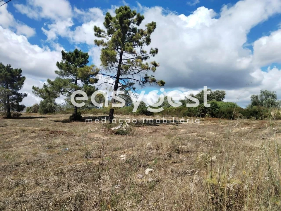 Terreno para Venda em São João Baptista e Santa Maria dos Olivais Foto 10