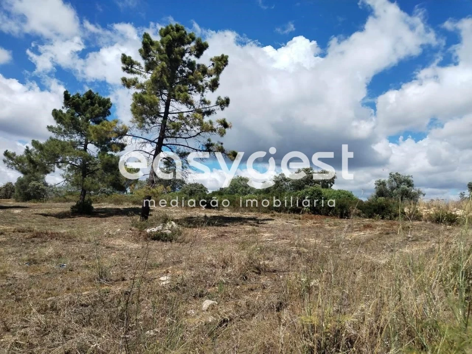 Terreno para Venda em São João Baptista e Santa Maria dos Olivais Foto 12