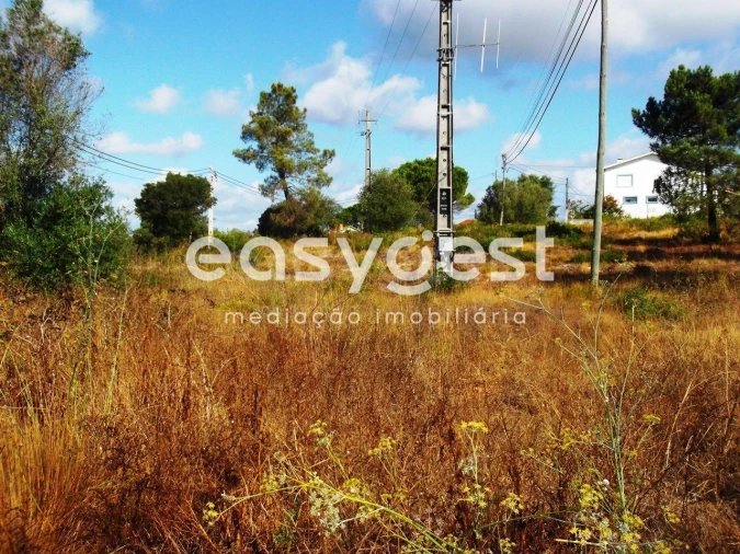 Terreno para Venda em São João Baptista e Santa Maria dos Olivais Foto 1