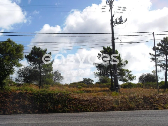 Terreno para Venda em São João Baptista e Santa Maria dos Olivais Foto 3