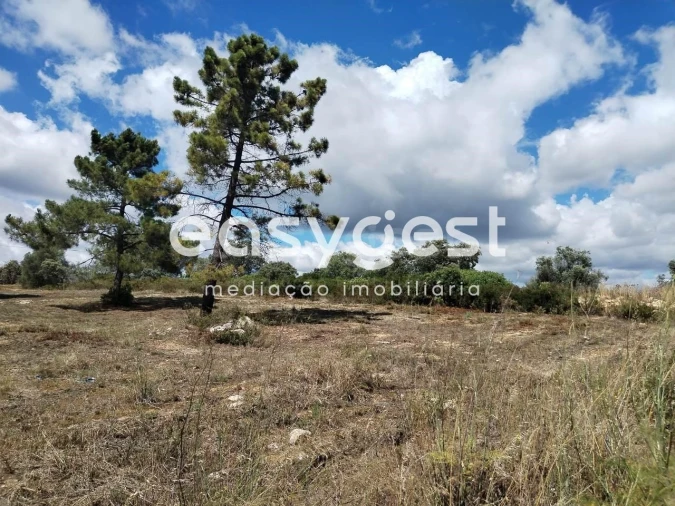 Terreno para Venda em São João Baptista e Santa Maria dos Olivais Foto 12