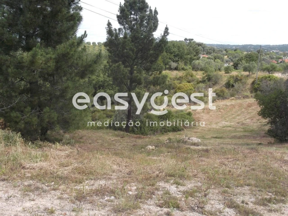 Terreno para Venda em Assentiz Foto 7