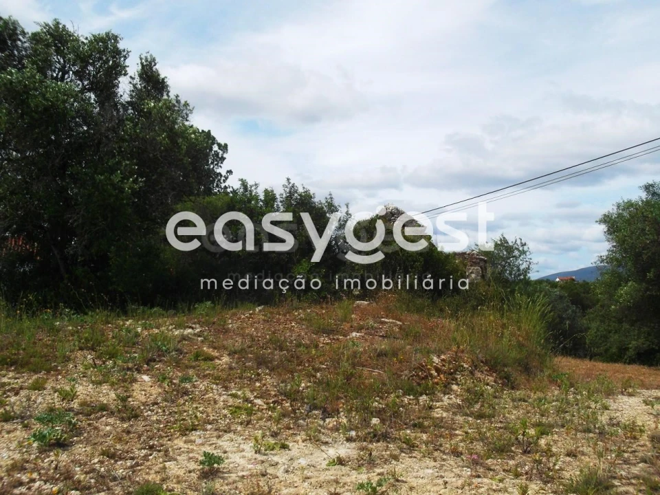 Terreno para Venda em Assentiz Foto 8