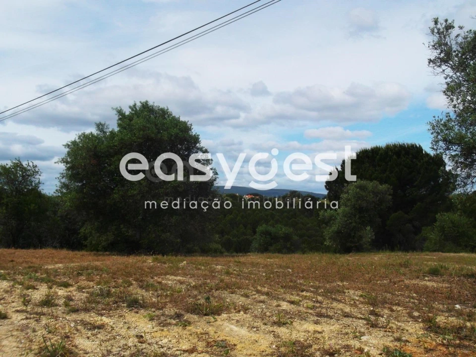 Terreno para Venda em Assentiz Foto 9